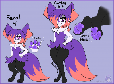 Zephy_Braixen_2024_reference_sheet.png